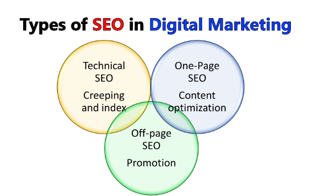 Types of SEO in Digital Marketing | SEO Techniques